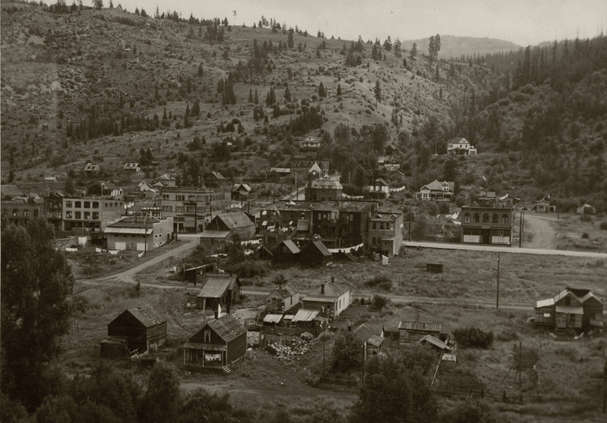 Homepage [www.greenwoodnikkei.ca]